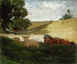 Hangat Shepherdess Sore