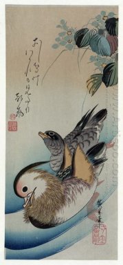 Dois patos mandarim 1838