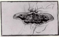 La mite de la mort 1889