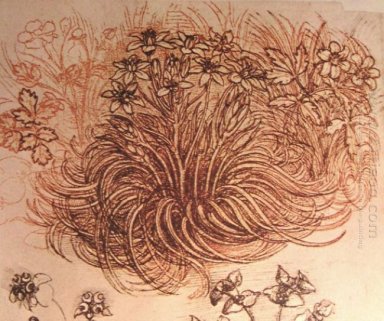 Teckning av en botanisk studie