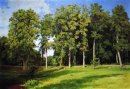 Grove di The Pond Preobrazhenskoye 1896