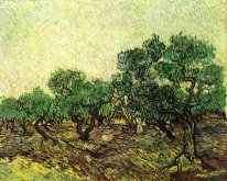 Olive Plockning 1889 1