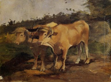 Two Bulls Wearing a Yoke