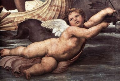 Galatea Detalle De Putto y delfines 1506