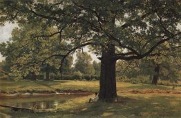 Em Old Oaks Peterhof 1891 1