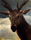 Testa di cervo 1626-1627