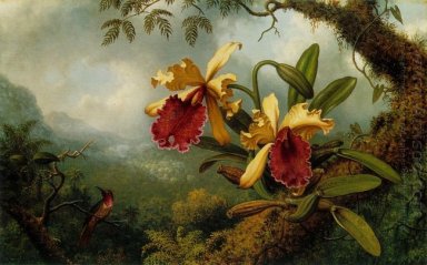 Orchideen und Hummingbird