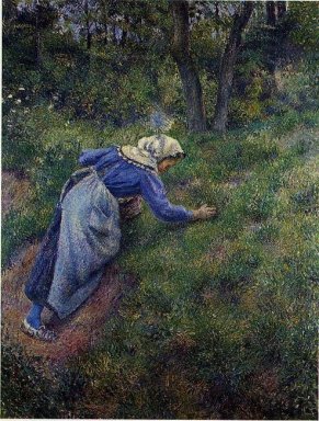 paysan rassemblement herbe 1881