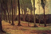 Borde de una madera 1882