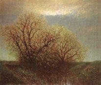 Alberi in fiore