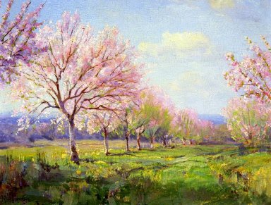 Peach Orchard Farm en Mavericks
