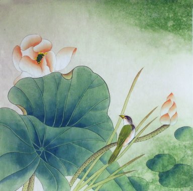 Lotus - pintura chinesa