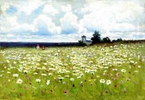 Field of Daisies