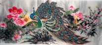 Peacock - Chinese Painting