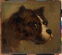 Het Hoofd van Bulldog