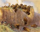 Körning Buffalo Över Cliff