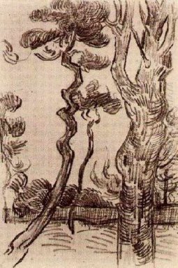 Pino alberi visto contro il muro di The Asylum 1889