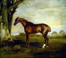 A Castagno Racehorse