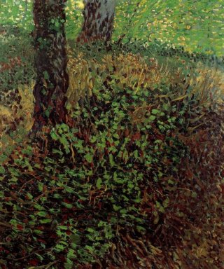 Sottobosco 1887
