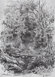 Hutan Streaming 3