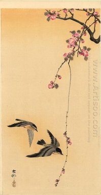 Cherry Blossom Dengan Burung