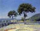 Live Oak Alberi su Williams'' Ranch, Bandera County