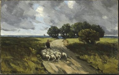 Herding Schafe