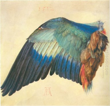 Vleugel van een blauwe roller 1512
