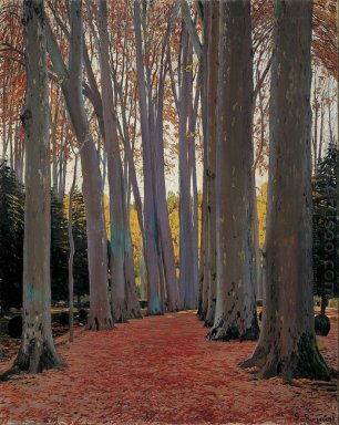 Avenue of plataner