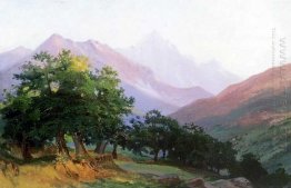 Oaks Di Pegunungan Of Carrara