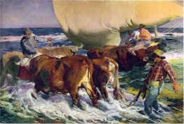 Tarde Sun 1903