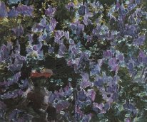 Lilac 1900