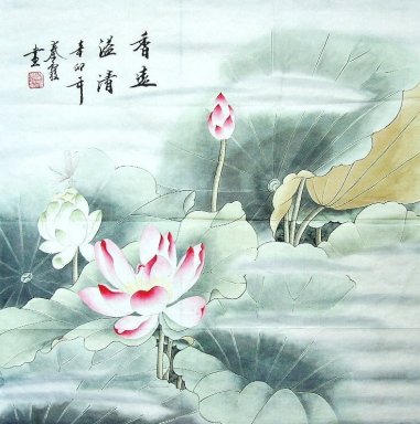 Lotus - pintura chinesa