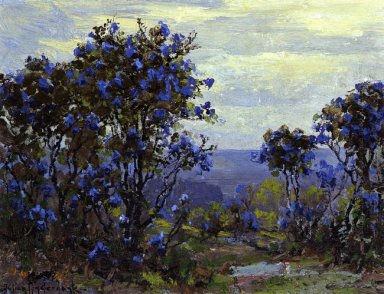 Mountain Laurel en flor