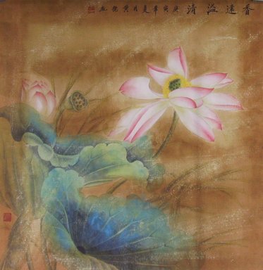 Lotus - pintura chinesa