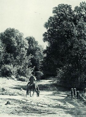 Bos 1869 2