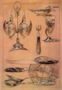 estudos de 1902 1