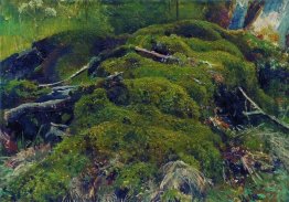 Moss Akar