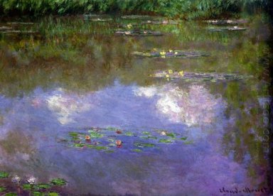 Nénuphars Les Nuages