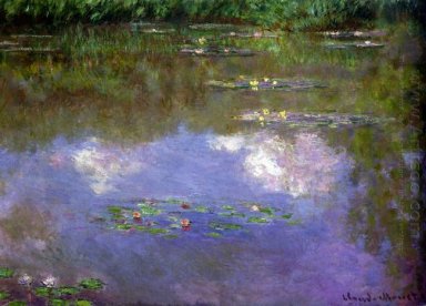 Water Lilies Die Wolken