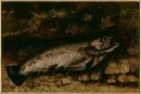The Trout 1873