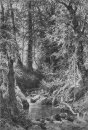 Hutan Streaming 1880