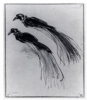 Twee Studies van Een Bird Of Paradise 1630