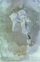 Blanca Iris