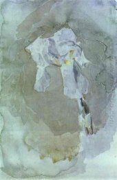 VitIris