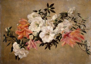 Petunias 1881