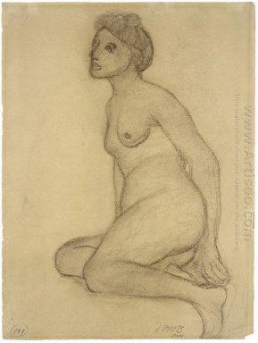 Sittande Kvinna Nude