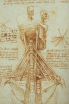 Anatomie des Halses 1515
