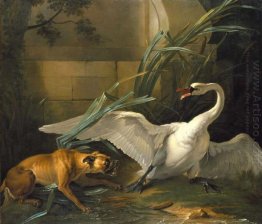 Swan atacado por um cão