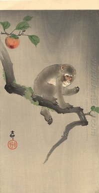 Scimmia sull\'albero